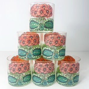 GEORGES BRIARD Red Geranium Lowball Glass 8 oz Set (6) MCM Mid-Century VTG GUC